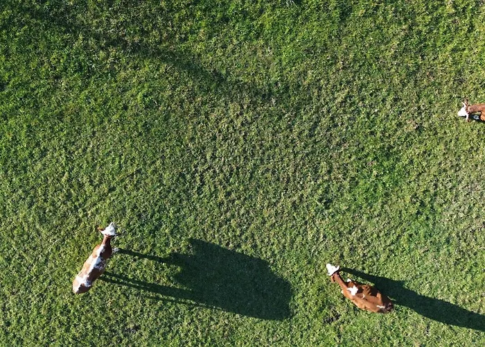 펜션 Planinska Kuca Rabas